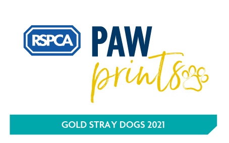 RSPCA-PawPrints_Stray-dogs_gold_2021